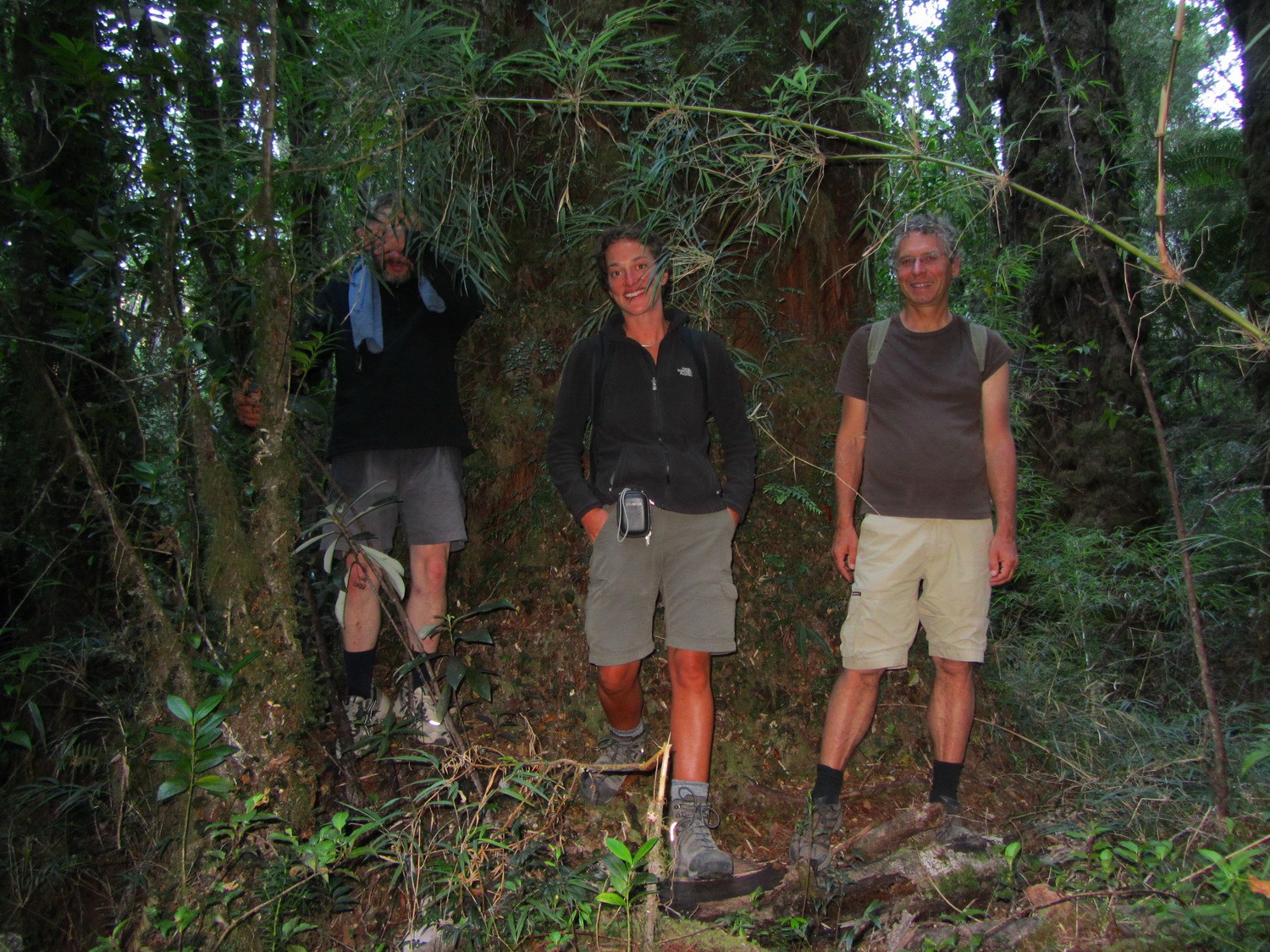 Tommy, Laura and Alfred in front of a huge trunk of an Alerce tree